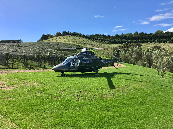 Harvest Lunch