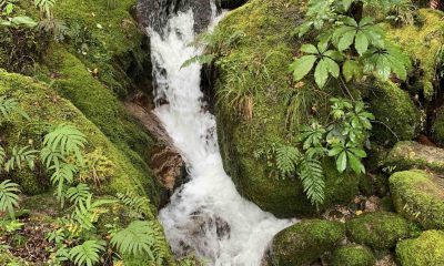 The Luxury Network New Zealand Maruia Wellness Retreat