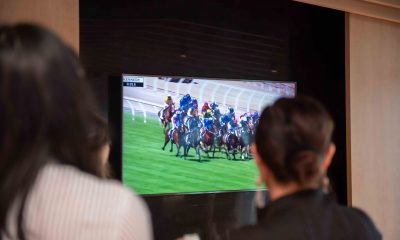 The Luxury Network New Zealand Celebrates the Melbourne Cup