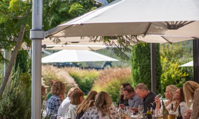 Annual Harvest with Lunch at Tantalus Estate