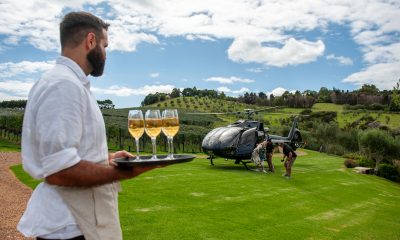 Annual Harvest with Lunch at Tantalus Estate