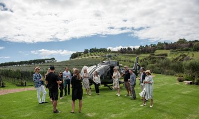 Annual Harvest with Lunch at Tantalus Estate