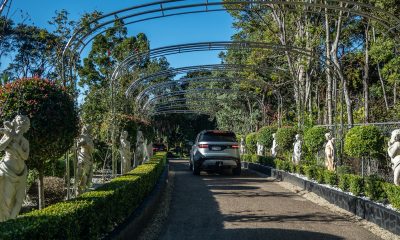 A Scenic Driving Experience and Mumm Champagne Lunch