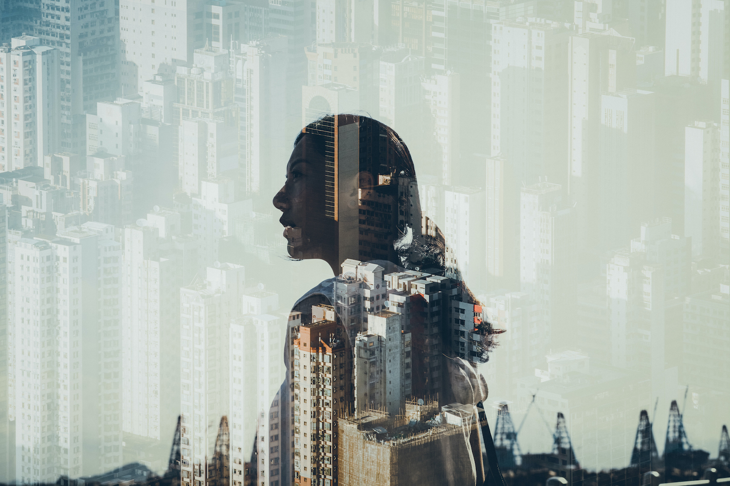 A Global Investment Outlook Luncheon With Citi Private Bank The Luxury Network New Zealand