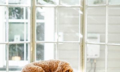 Lunar New Year at Hartfield: An Evening of Diamonds and Heritage